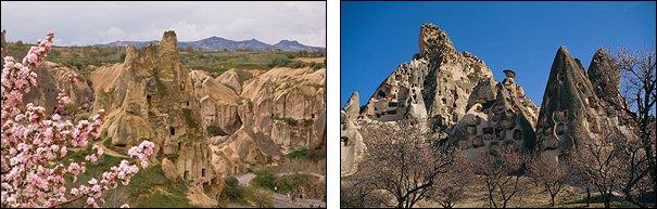 33398,unescogoremejpg.png 33398,unescogoremejpg.png